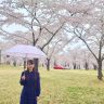9481C5D3-8CF2-470F-B557-823663727DB5