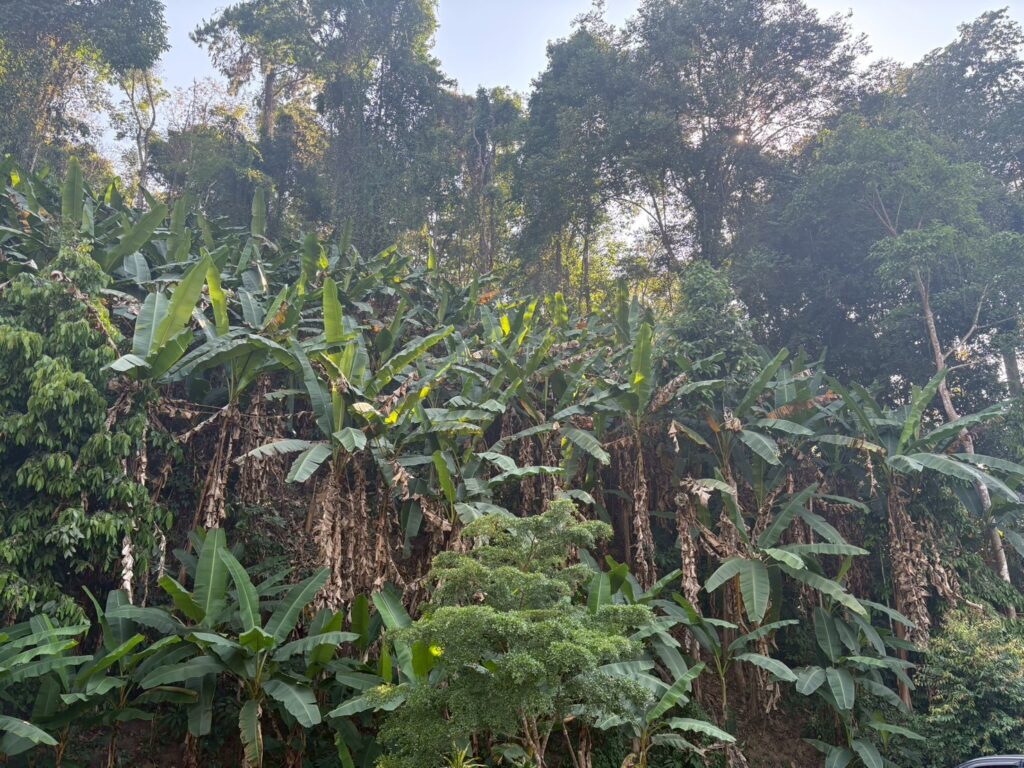 旅行者視点では経験出来ないようなディープな体験は国際結婚ならでは
2026年4月11日